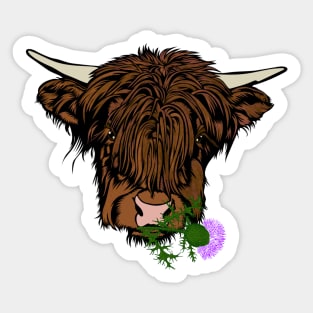 Highland Cow Head Sticker